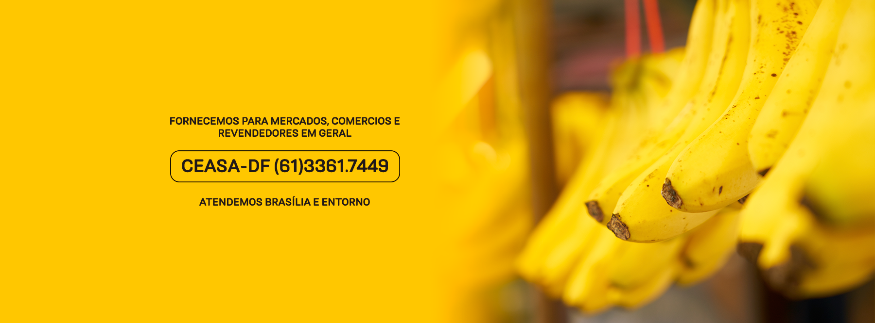 301567727 196782189365676 2910036114653771836 n