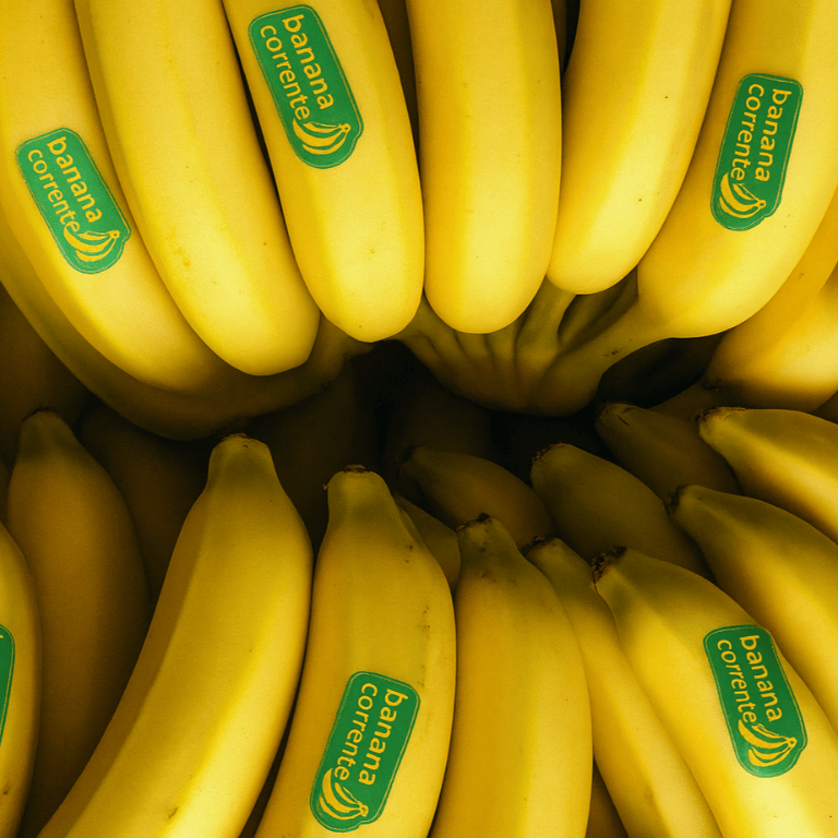 design sem nome (40)