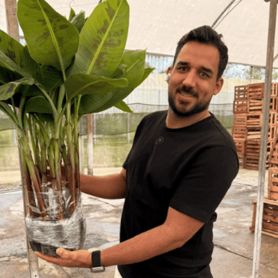 design sem nome (41)