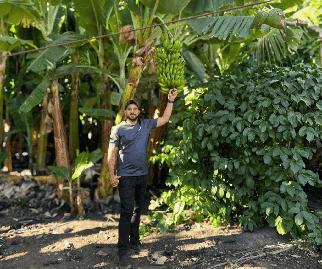 design sem nome (42)