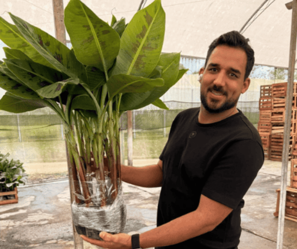 design sem nome (43)